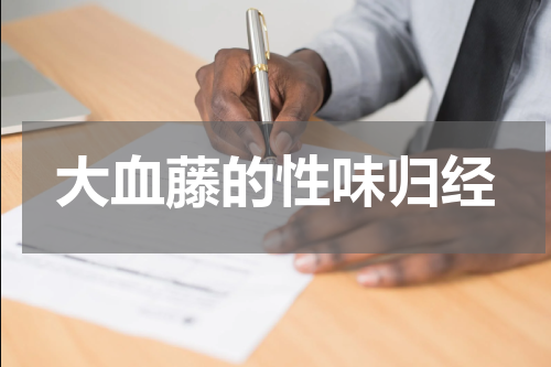大血藤的性味归经