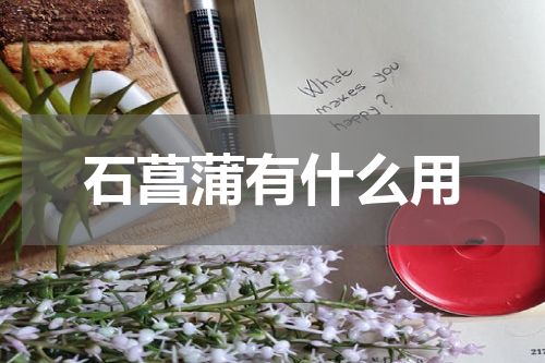 石菖蒲有什么用