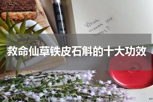救命仙草铁皮石斛的十大功效