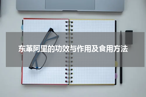 东革阿里的功效与作用及食用方法
