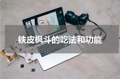 铁皮枫斗的吃法和功能