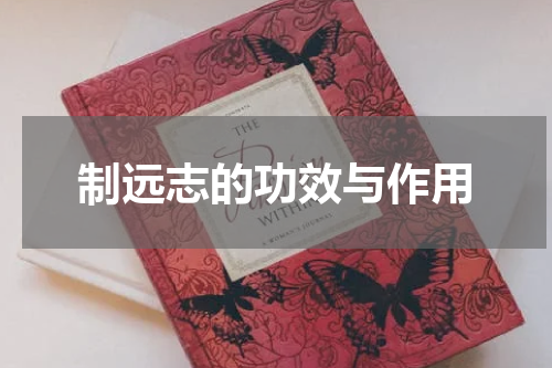 制远志的功效与作用