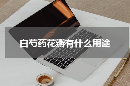 白芍药花瓣有什么用途