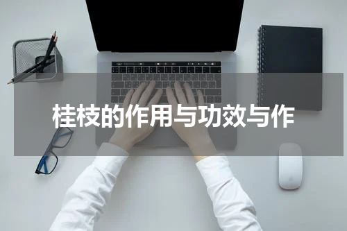 桂枝的作用与功效与作