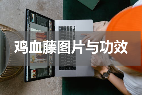 鸡血藤图片与功效