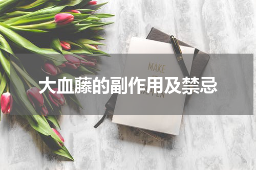 大血藤的副作用及禁忌