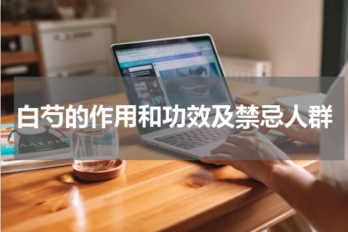 白芍的作用和功效及禁忌人群