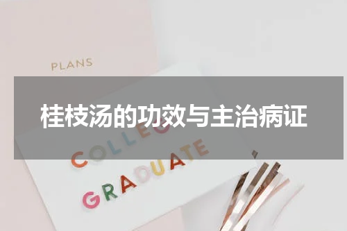 桂枝汤的功效与主治病证