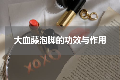 大血藤泡脚的功效与作用