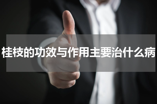 桂枝的功效与作用主要治什么病