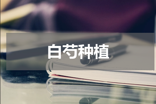 白芍种植