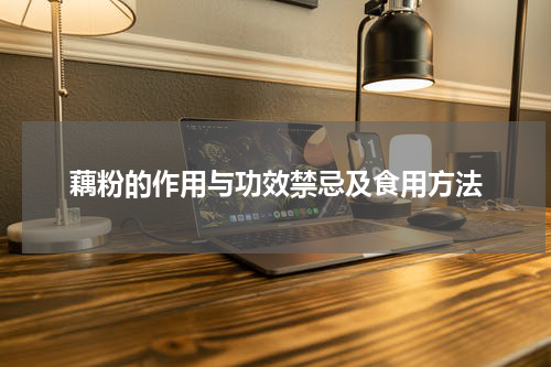 藕粉的作用与功效禁忌及食用方法