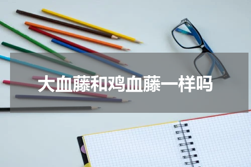 大血藤和鸡血藤一样吗