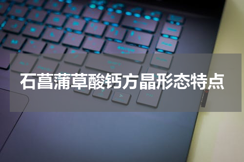 石菖蒲草酸钙方晶形态特点