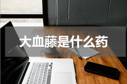 大血藤是什么药