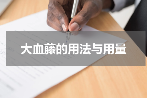 大血藤的用法与用量