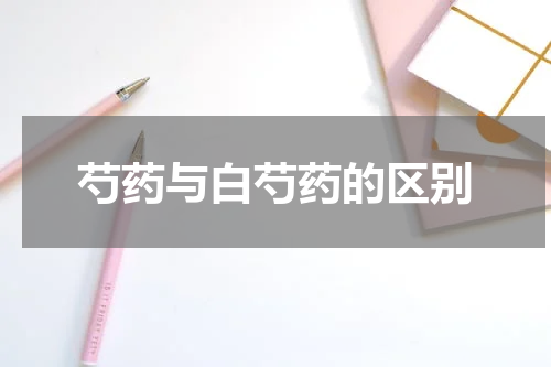 芍药与白芍药的区别