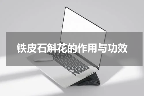 铁皮石斛花的作用与功效
