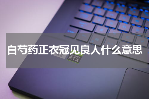 白芍药正衣冠见良人什么意思