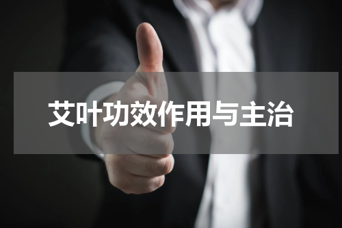 艾叶功效作用与主治