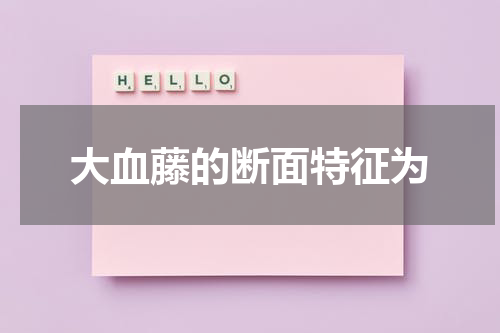 大血藤的断面特征为