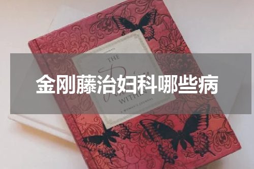 金刚藤治妇科哪些病