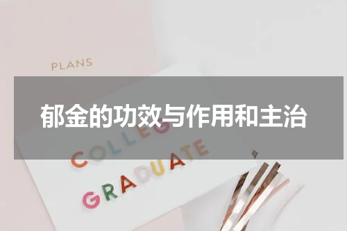 郁金的功效与作用和主治