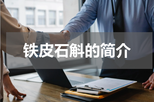 铁皮石斛的简介