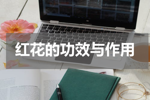 红花的功效与作用