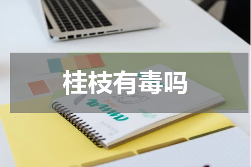 桂枝有毒吗