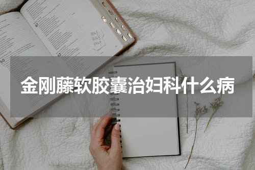 金刚藤软胶囊治妇科什么病