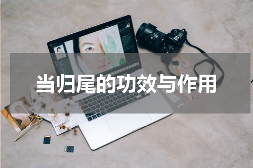 当归尾的功效与作用