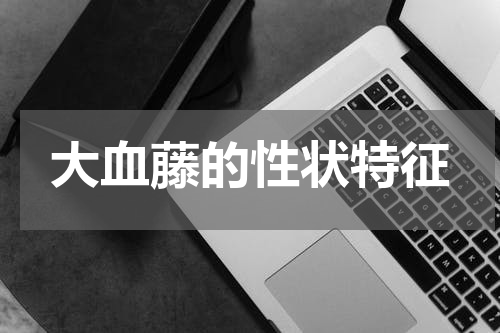 大血藤的性状特征