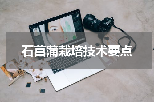 石菖蒲栽培技术要点