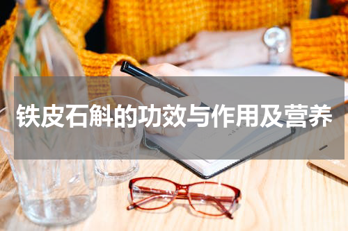 铁皮石斛的功效与作用及营养
