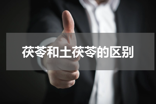 茯苓和土茯苓的区别