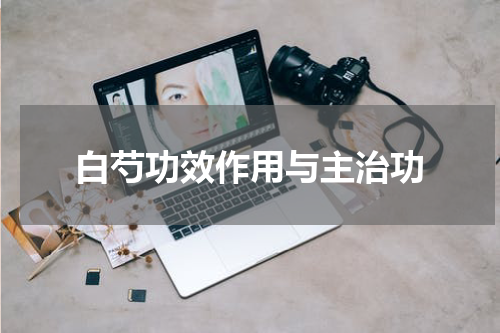 白芍功效作用与主治功
