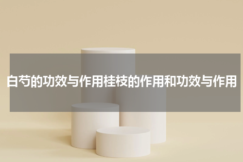 白芍的功效与作用桂枝的作用和功效与作用