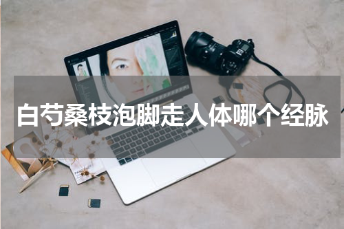 白芍桑枝泡脚走人体哪个经脉