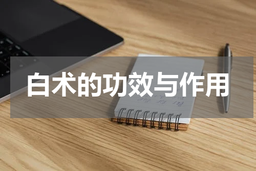 白术的功效与作用