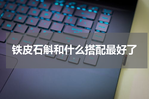 铁皮石斛和什么搭配最好了