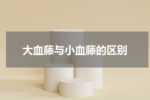 大血藤与小血藤的区别