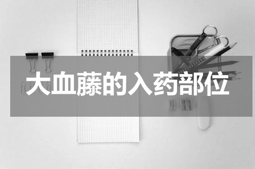 大血藤的入药部位