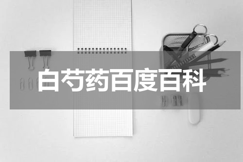 白芍药百度百科