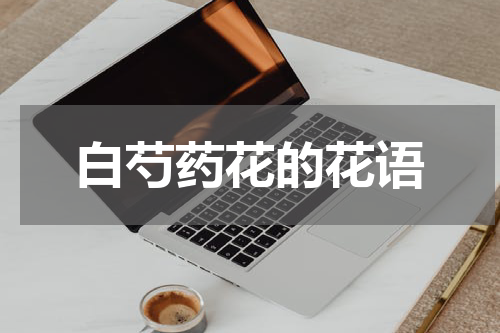 白芍药花的花语
