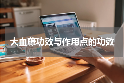 大血藤功效与作用点的功效
