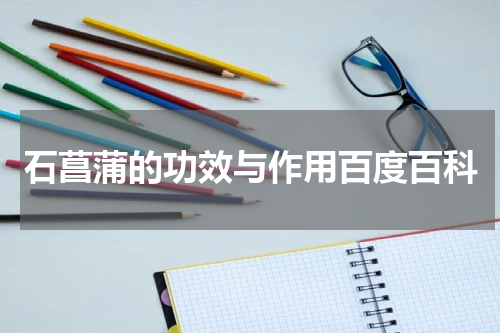 石菖蒲的功效与作用百度百科