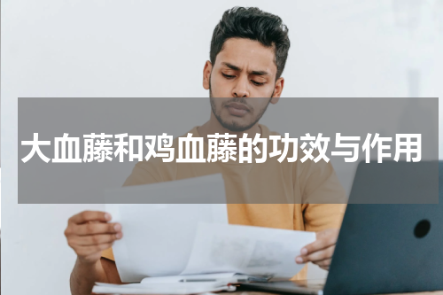大血藤和鸡血藤的功效与作用