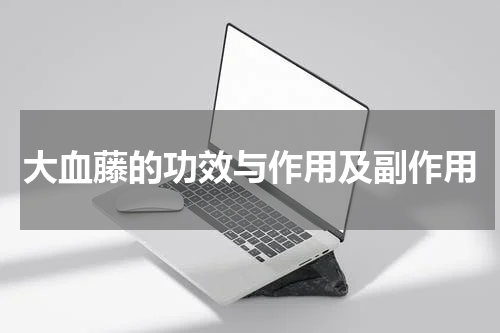 大血藤的功效与作用及副作用
