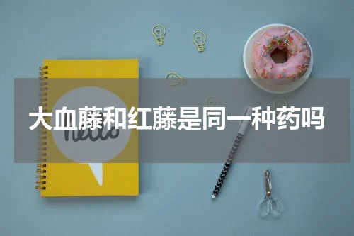 大血藤和红藤是同一种药吗